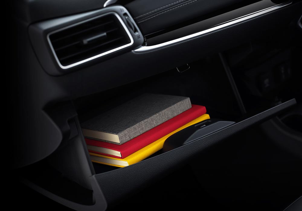 f_glovebox__1705891450435.jpg